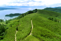 PT Toba Pulp Lestari Tbk. (Facebook.com @Toba Pulp Lestari)