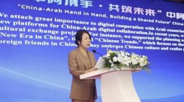 Liu Hongyan, Secretary-General of the China Internet Development Foundation, delivers a speech. [Photo by Zhao Bo]