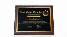 Waterdrop Inc. receives the Global Best Case Brands Award.